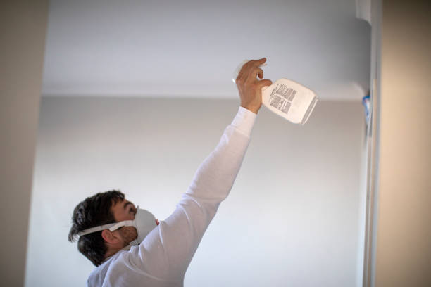Best Emergency Mold Removal  in Byron, CA