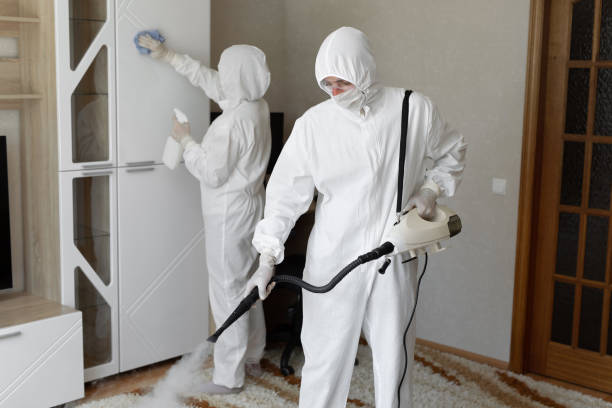 Attic Mold Removal in Byron, CA
